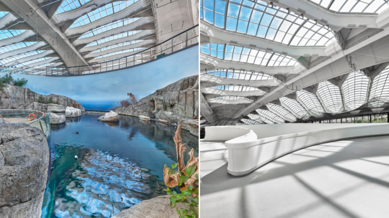 Voici à quoi ressemble maintenant le Biodôme de Montréal après les rénovations (VIDÉO)