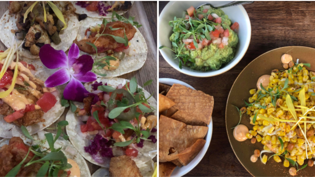 Ce nouveau resto à Montréal sert 11 sortes de tacos et ce sera la fiesta dans ta bouche