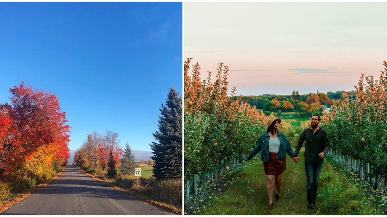 This Small Town Hidden In Ontario Is A Fall Paradise & Here's The Perfect Way To Explore It