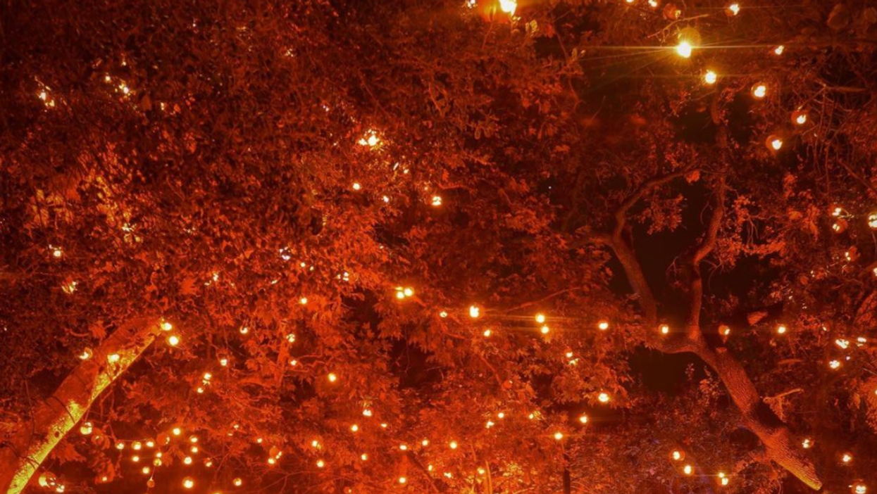 You Can Drive Through A Sea Of Pumpkins At This Epic Jack-O'-Lantern Event In Los Angeles