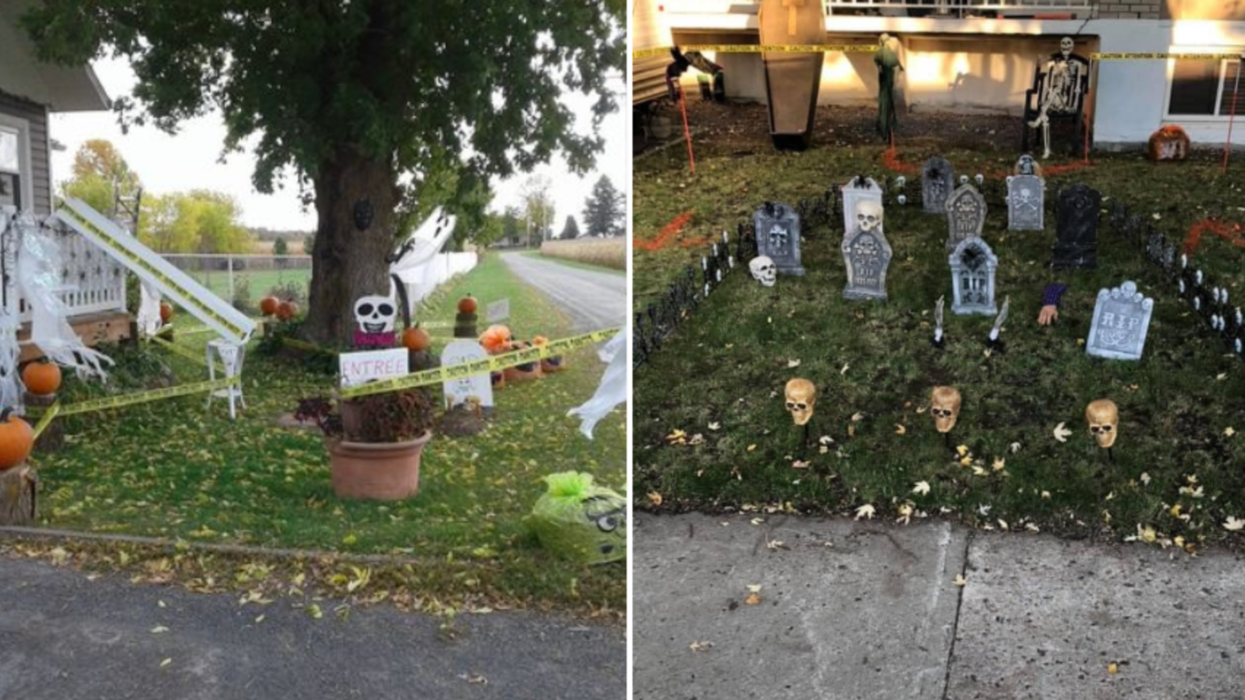 Ces Québécois créent des systèmes pour donner des bonbons d'Halloween à distance (PHOTOS)
