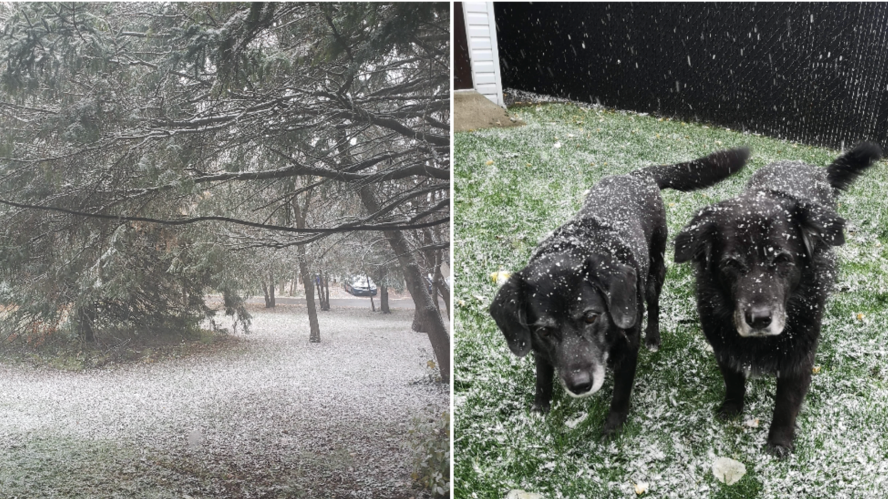 Le Grand Montréal a reçu sa première neige mais Montréal attend encore (PHOTOS)