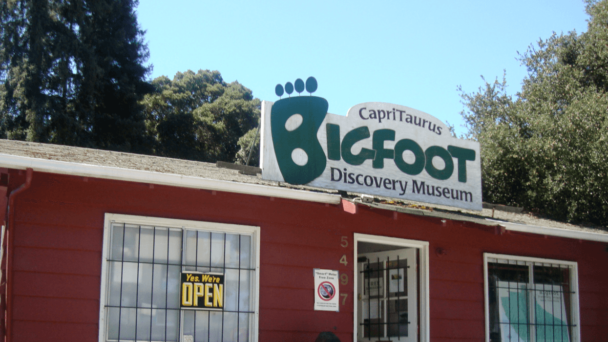 A Bigfoot Statue Was Mysteriously Found On The Side Of The Highway In California