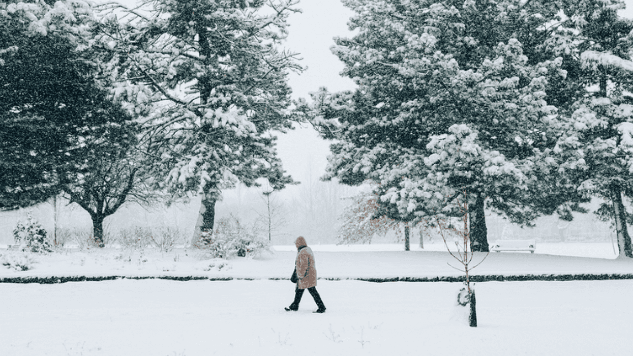 Parts Of Ontario Will Get 70 km/h Winds & Up To 50 cm Of Snow Today
