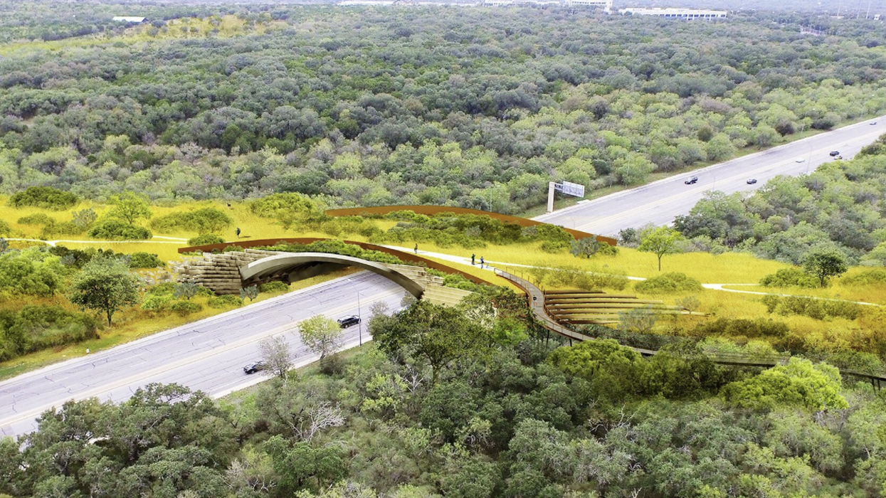 This Massive Land Bridge Just Opened In San Antonio & It's Going To Save Animals