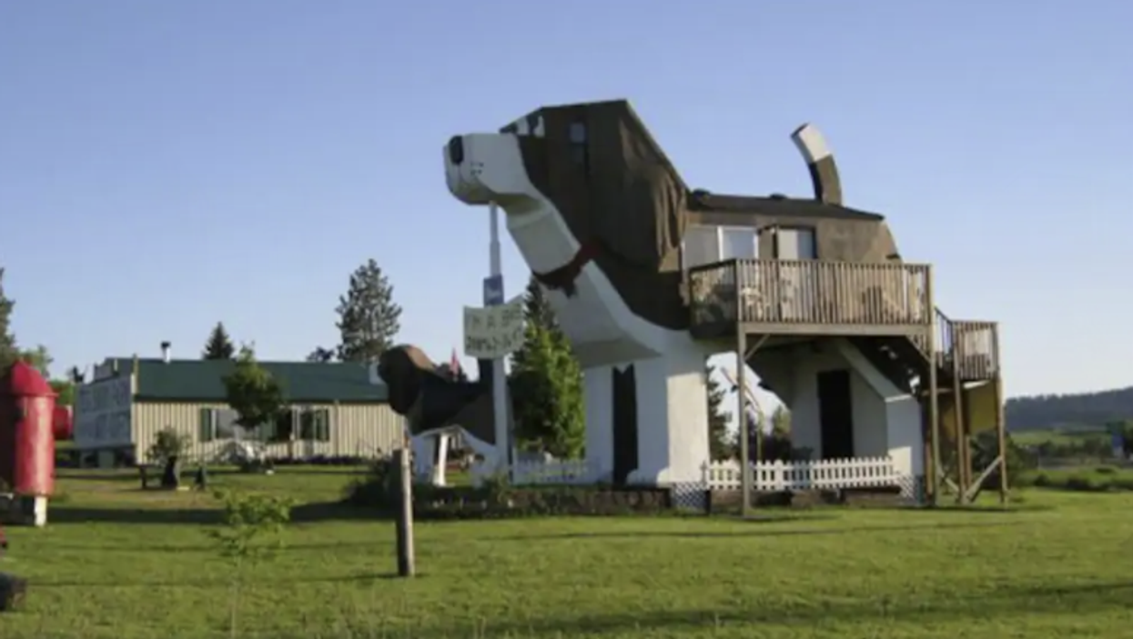 This Idaho AirBnB Is A Trojan Horse-Style Dog & You Can Rent It For Super Cheap (PHOTOS)