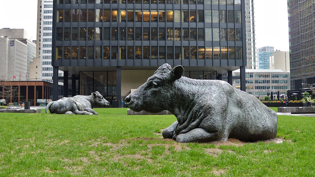 You're Not A True Torontonian If You Haven't Visited These Weird Spots At Least Once