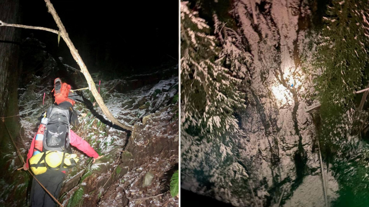 Crews In BC Accidentally Rescued Stranded Hikers During A Night-Vision Test Flight