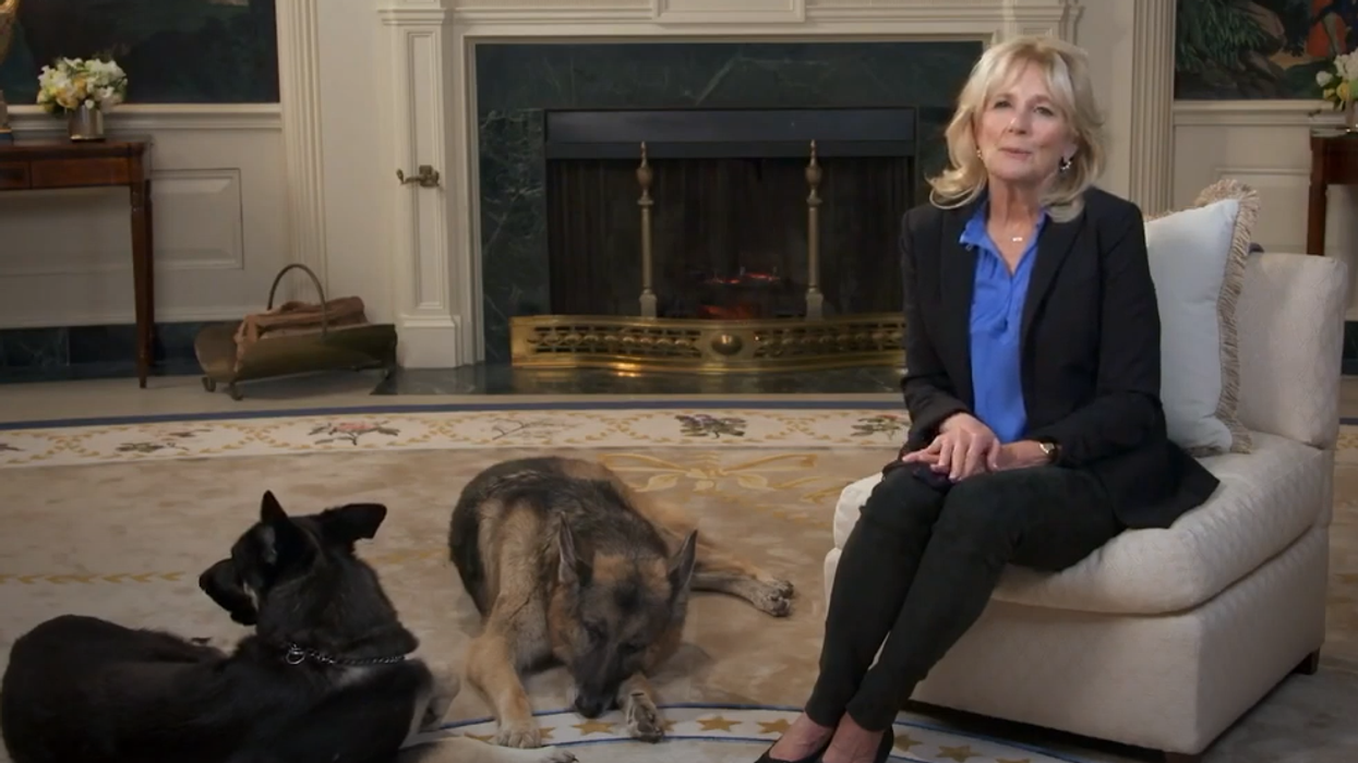 This Year's Puppy Bowl Will Feature American Dog Royalty