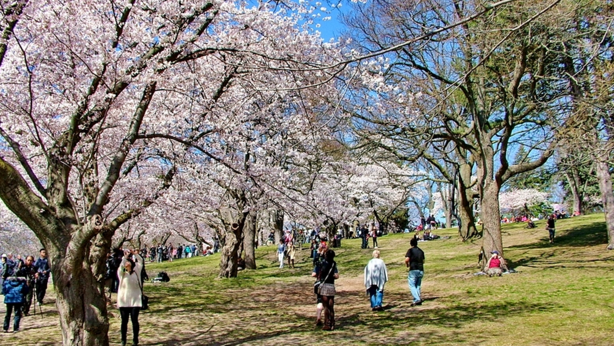 Ontario's Official Spring Forecast Is Out & March Is Looking Beautiful