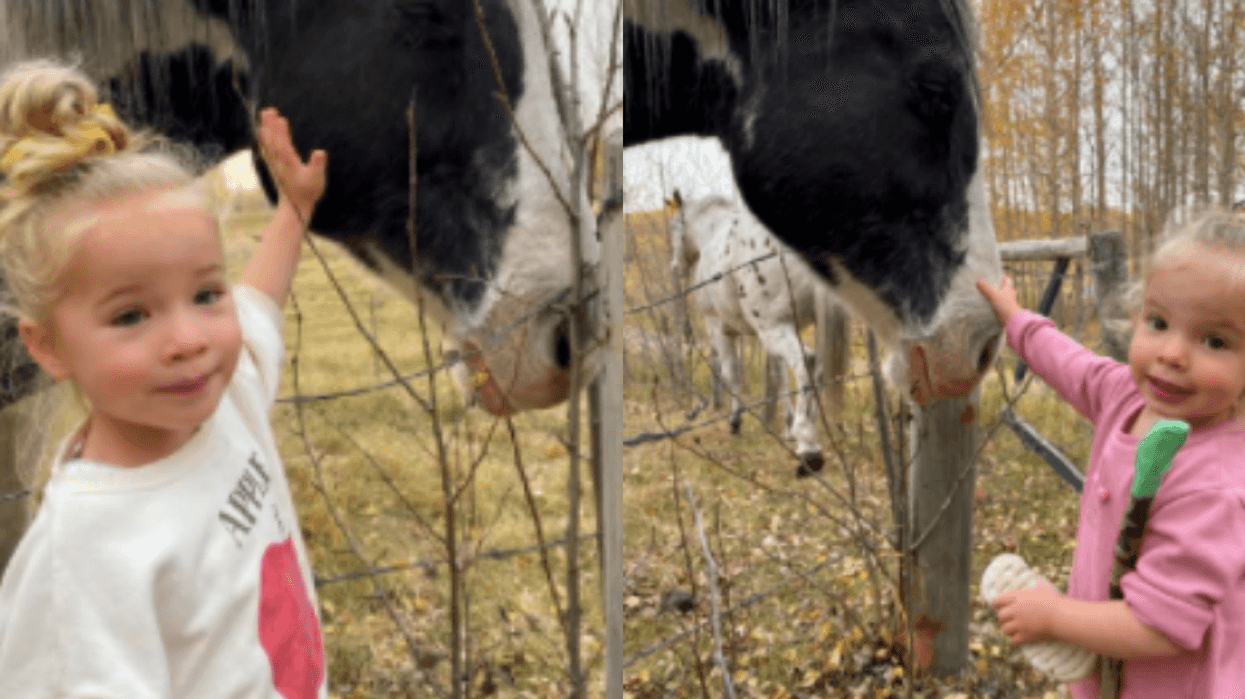 Alberta RCMP Are Searching For 2 Little Girls Who May Have Been Abducted By Family Members