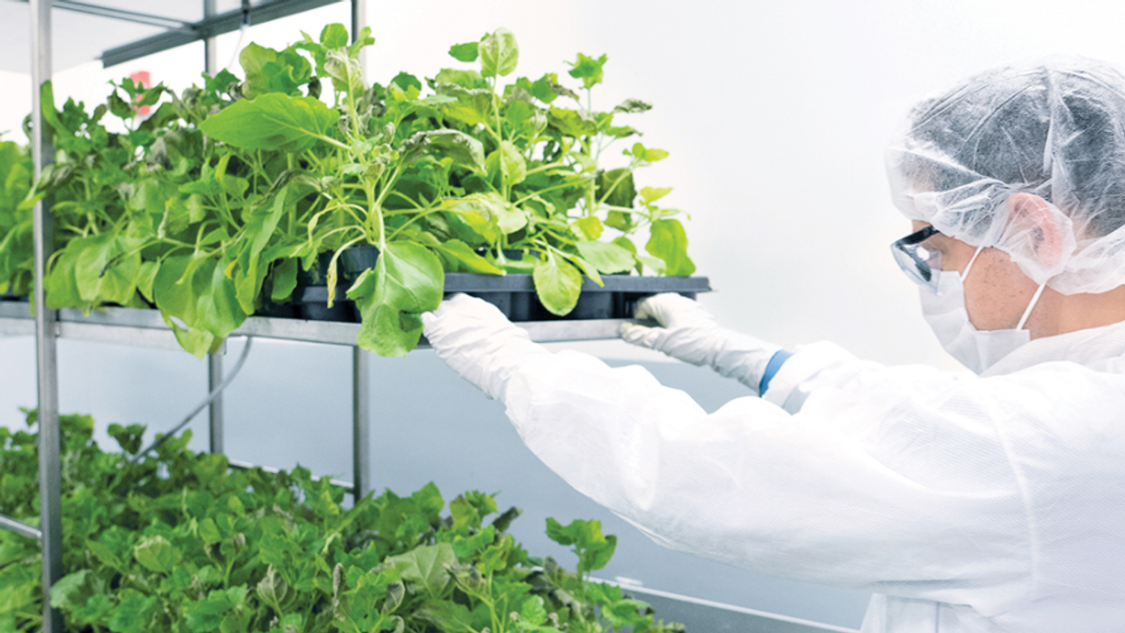 A New Canadian Plant-Based COVID-19 Vaccine Is Looking For 30,000 People For Testing