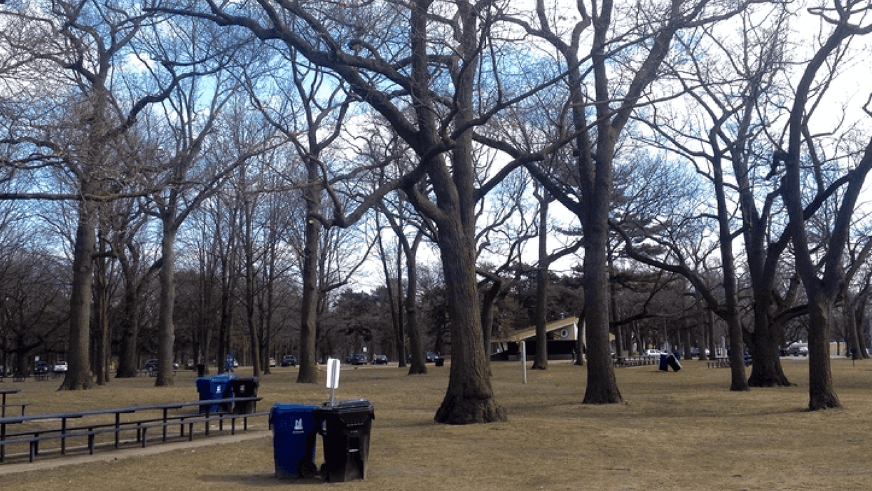 A Woman Was Apparently Forced Into A Car Near High Park On Saturday Night