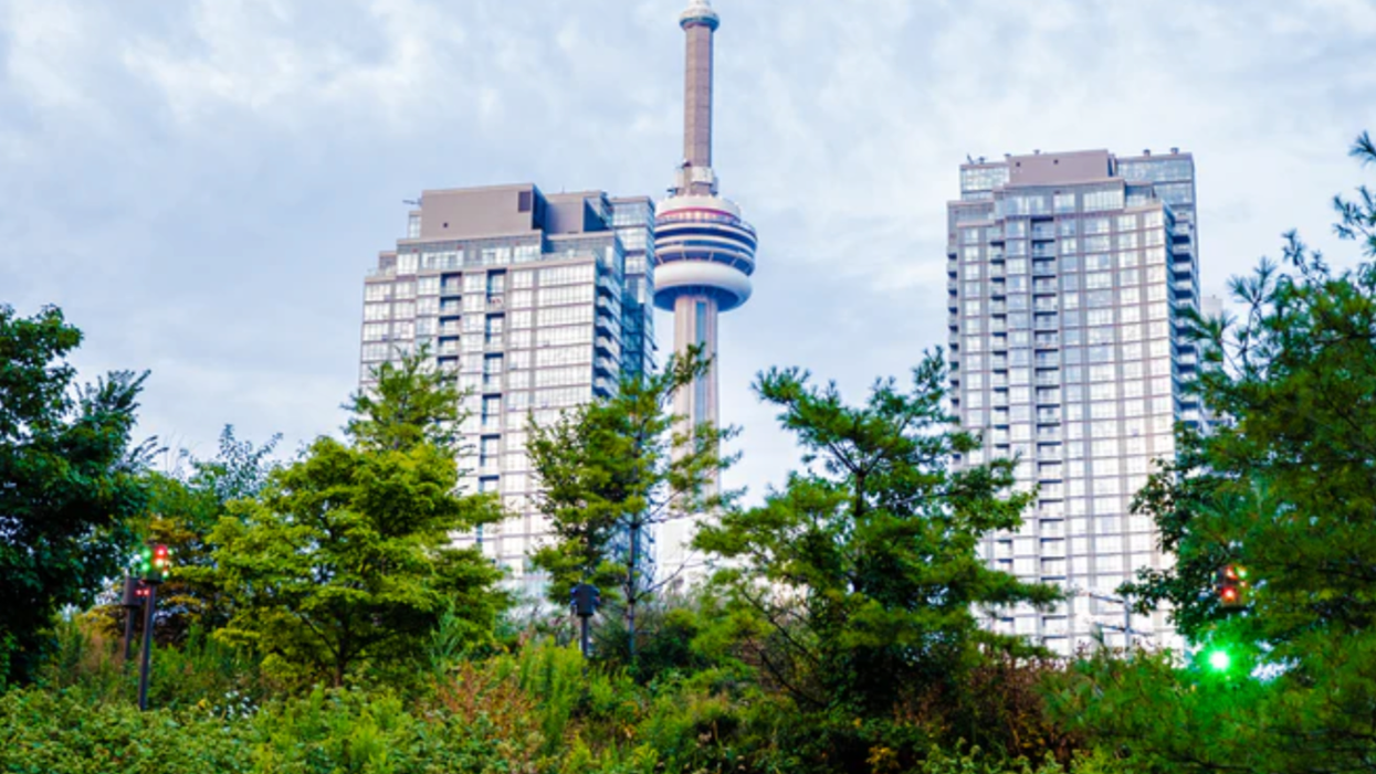 Toronto Real Estate Is Getting So Intense There Are Now 'Bidding Wars' For Rentals