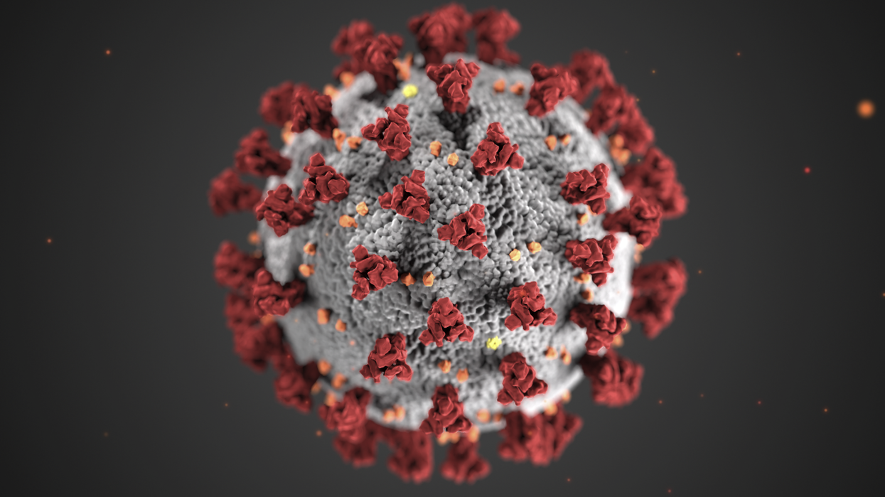 The World Health Organization Just Released 4 Possible Origins Of COVID-19