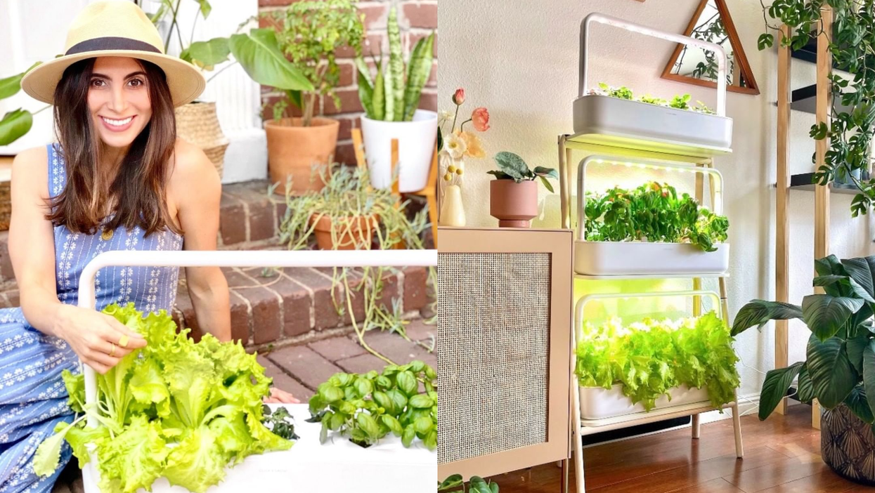 This Self-Sustaining Garden Can Grow Almost Any Plant Indoors For You