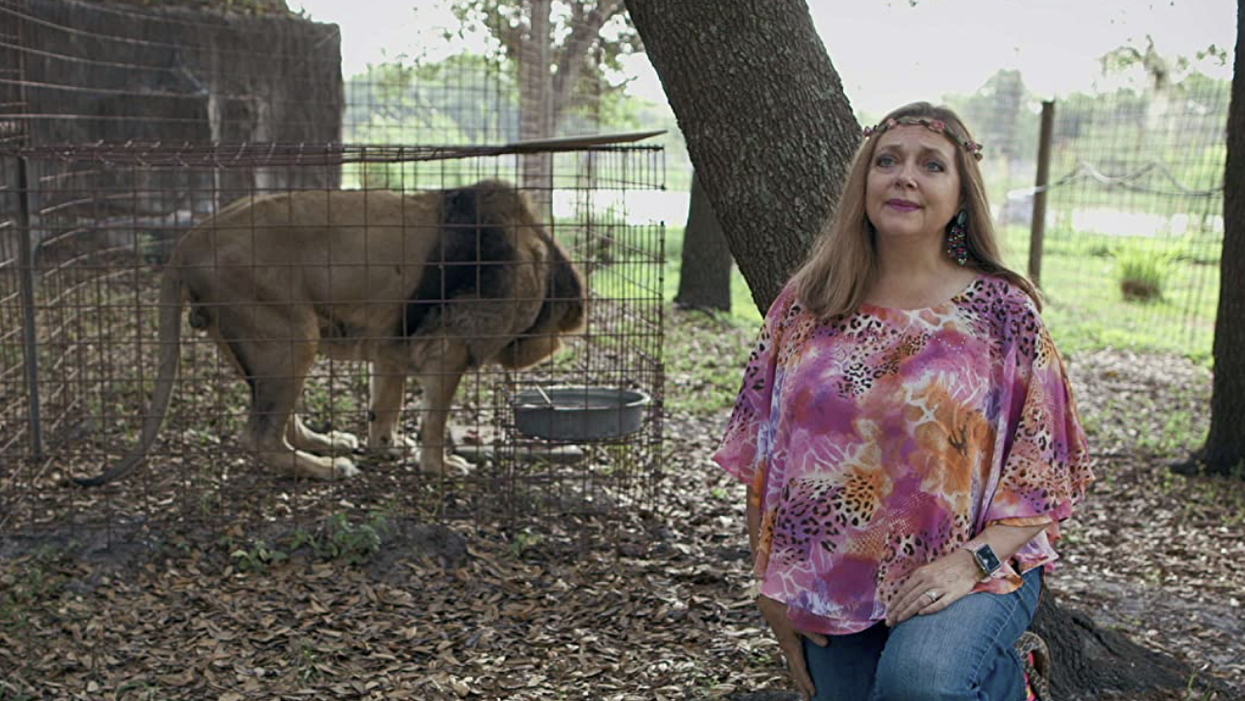 'Tiger King's' Carol Baskin Just Launched A Cryptocurrency & Its Name Is Very Fitting