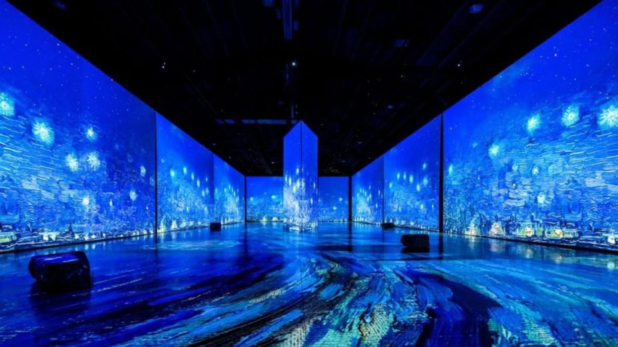 Imagine Van Gogh Exhibit