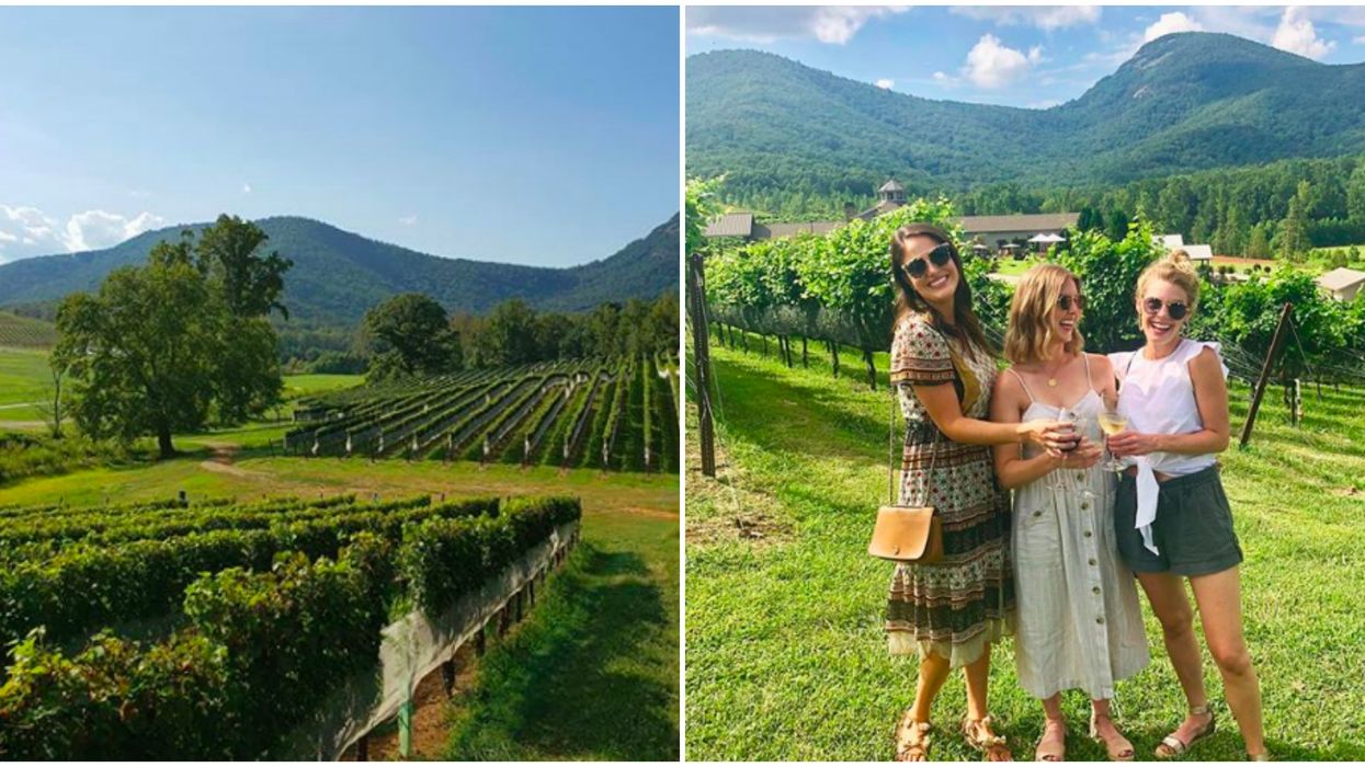 In the city, the skyline is filled with the tops of skyscrapers but just north of Atlanta, it's filled with rolling hills and mountaintops. Among this elevated terrain lies one of the best wineries in Georgia and it's giving Napa Valley a run for its money. You don't have to stray far from home to get the whole wine country feel because North Georgia is where it's at.