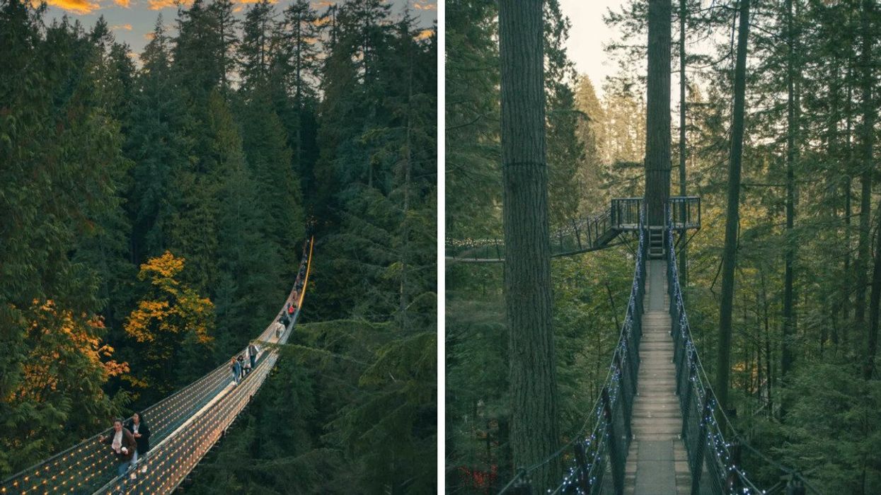 𝗖𝗮𝗽𝗶𝗹𝗮𝗻𝗼 𝗦𝘂𝘀𝗽𝗲𝗻𝘀𝗶𝗼𝗻 𝗕𝗿𝗶𝗱𝗴𝗲 𝗣𝗮𝗿𝗸 in the fall. Right: 𝗖𝗮𝗽𝗶𝗹𝗮𝗻𝗼 𝗦𝘂𝘀𝗽𝗲𝗻𝘀𝗶𝗼𝗻 𝗕𝗿𝗶𝗱𝗴𝗲 𝗣𝗮𝗿𝗸.