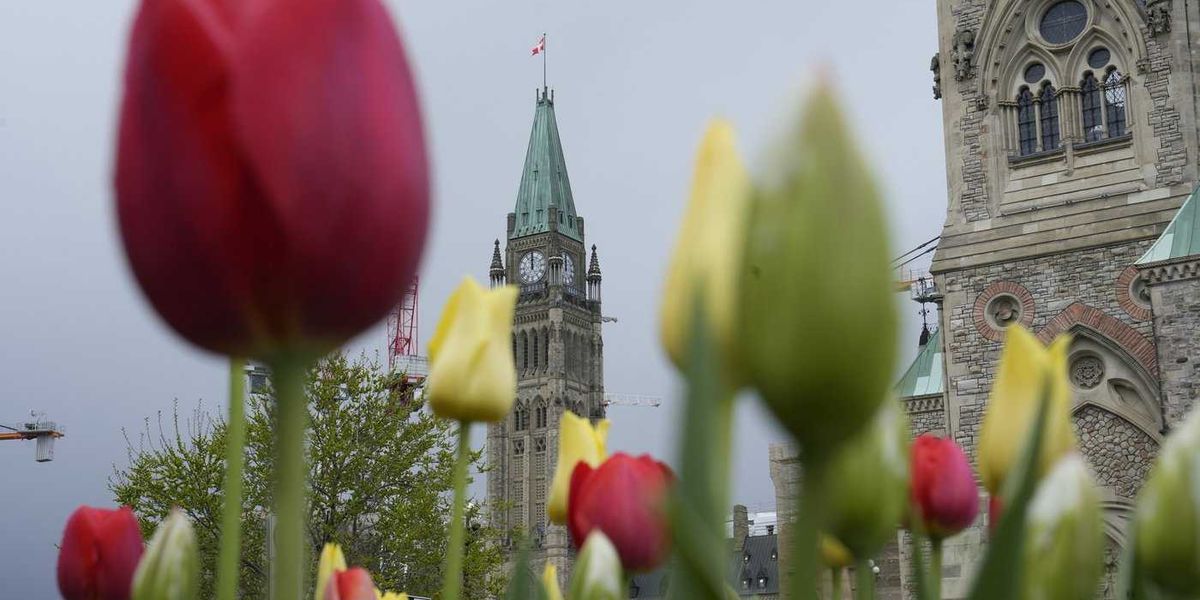 Inclusion groups sign open letter calling on Ottawa to halt MAID for mental illness Inclusion groups sign open letter calling on Ottawa to halt MAID for mental illness