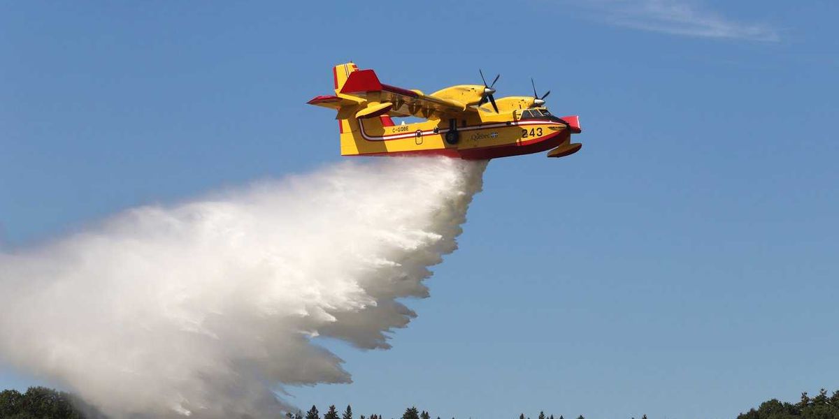 Lightning sparked dozens of wildfires in Quebec in July Lightning sparked dozens of wildfires in Quebec in July