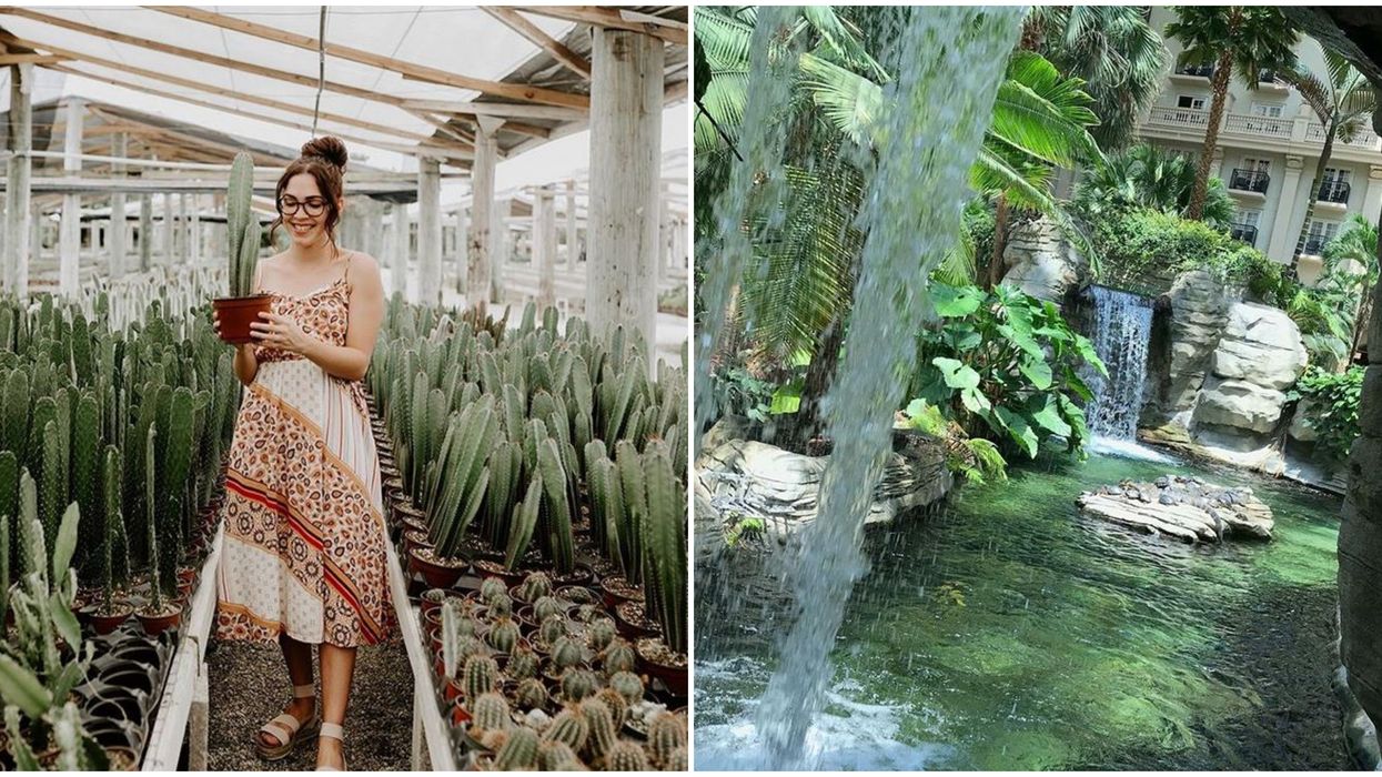 Indoor Florida Jungle Oases For A Truly Wild Adventure