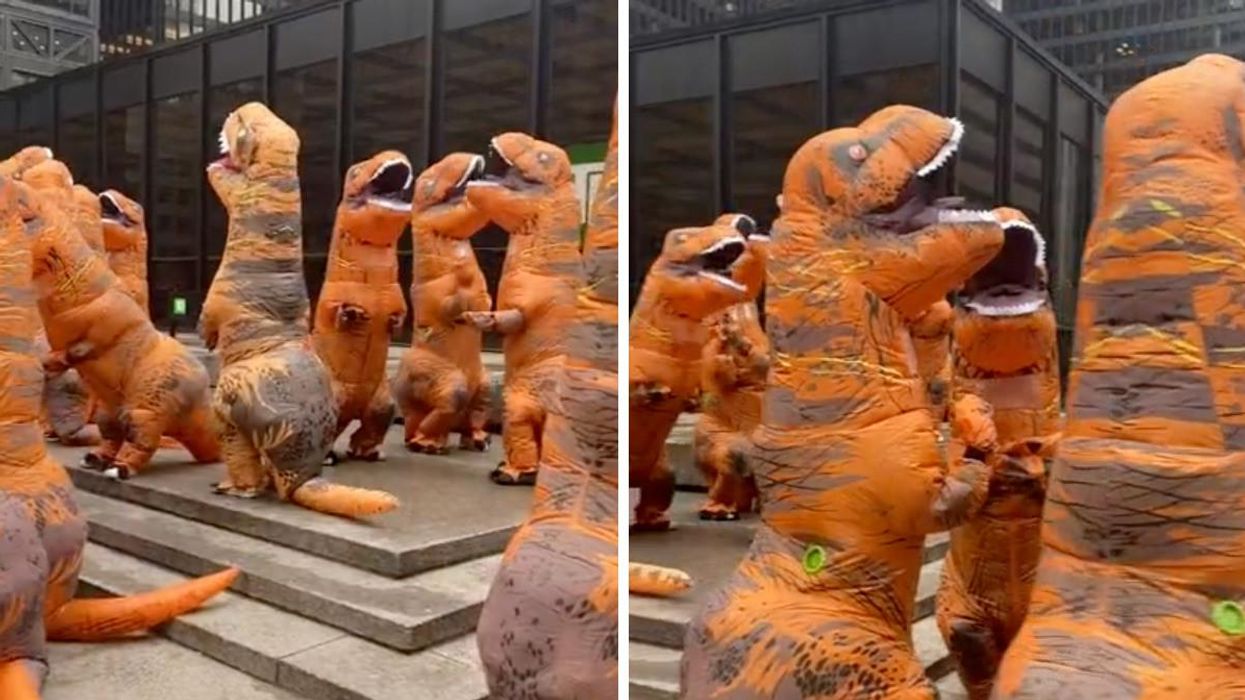 Inflatable dinosaurs in downtown Toronto.
