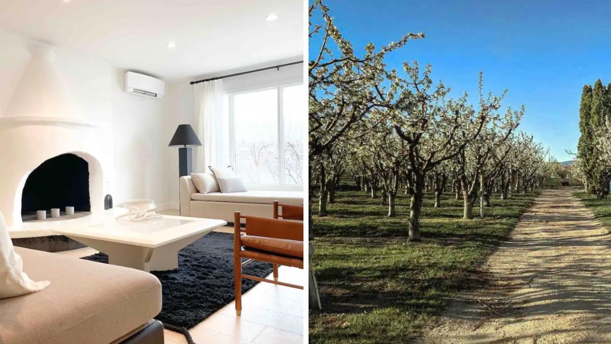 Inside of the Airbnb. Right: Orchard on the Airbnb property.