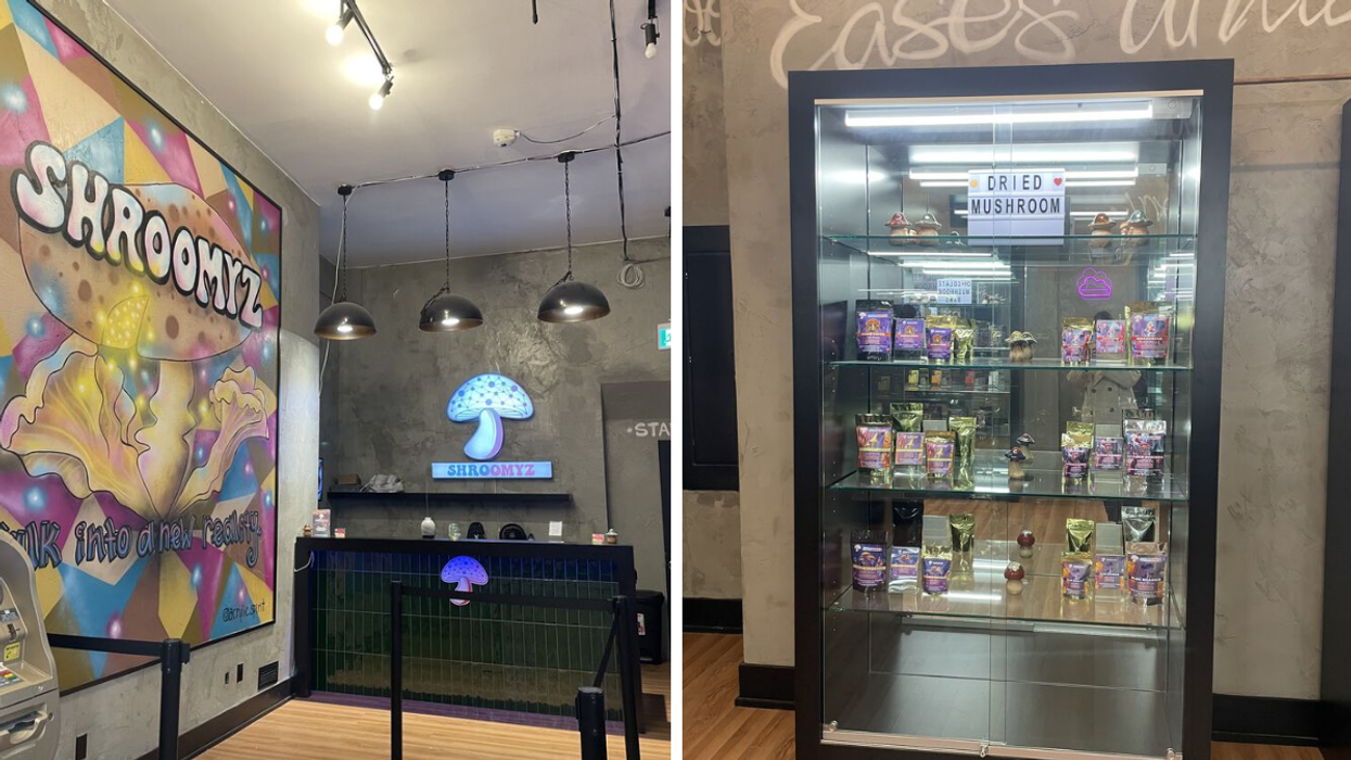 Inside Shroomyz in Toronto.