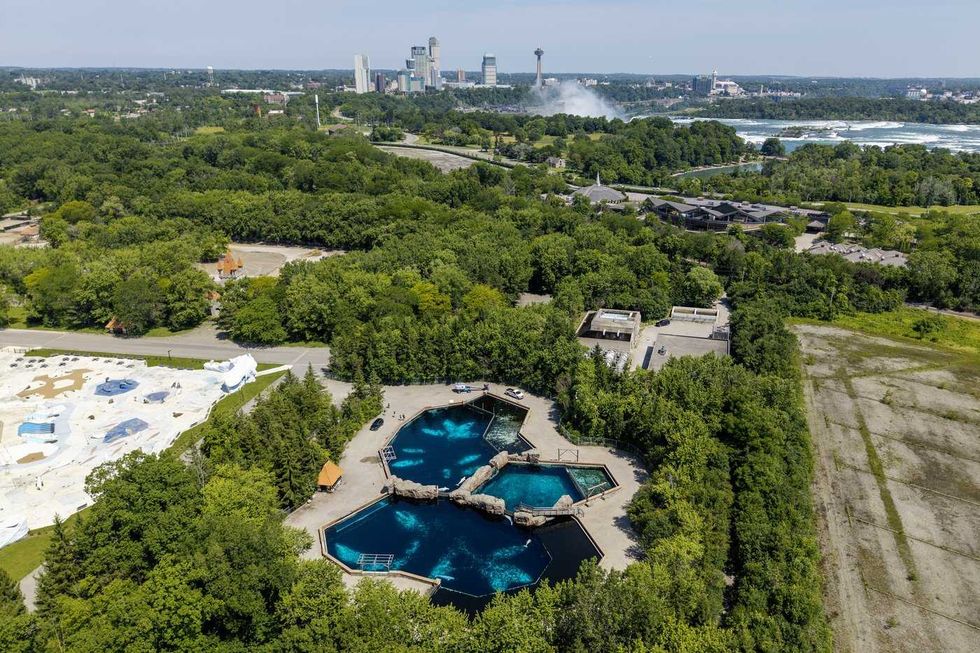Inside the final days of Marineland