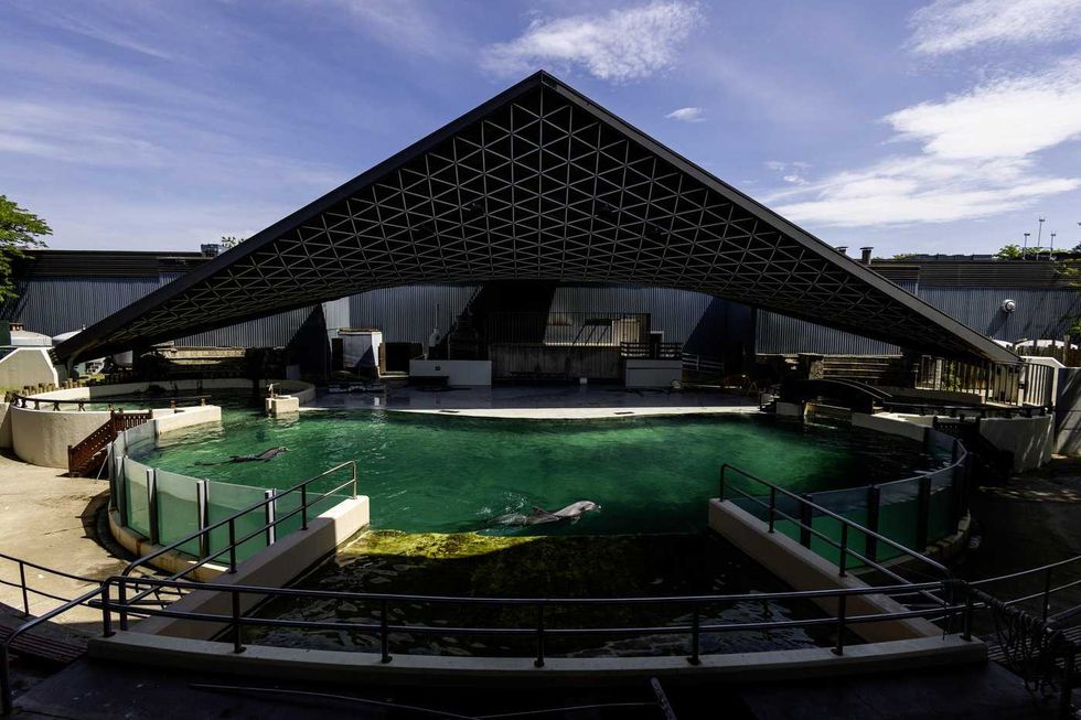 Inside the final days of Marineland