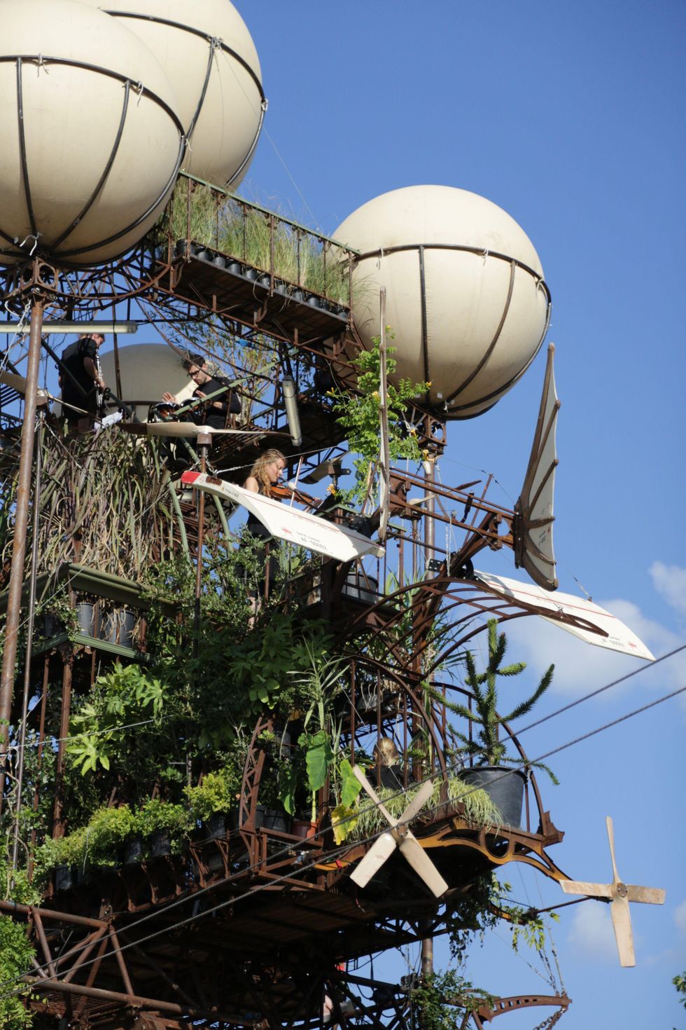 Int\u00e9rieur de la serre.