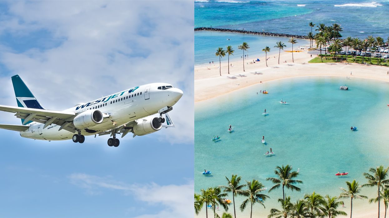 International Travel Restrictions: Canada's Airlines Flew Thousands Of People To Hawaii