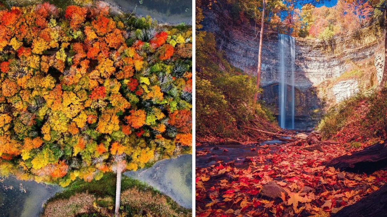 Island Lake Conservation Area. Right: Tew Falls in Spencer Gorge Conservation Area.