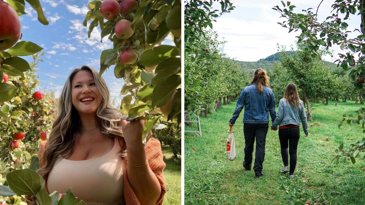 Izabelle au Domaine Lafrance. Droite : Deux personnes à la Pommeraie d'Or.