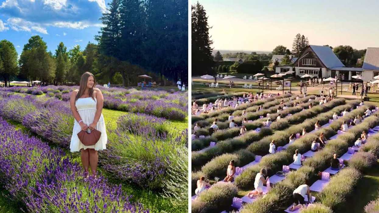 Izabelle Bee dans les champs de lavande de Maison Lavande. Droite : Un cours de yoga dans les champs à la Maison Lavande.