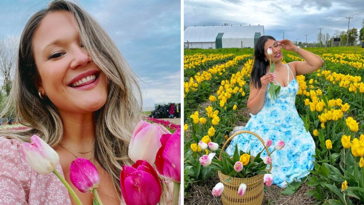 Izabelle Bee et des tulipes roses. Droite : Une femme dans un champ de tulipes jaunes.