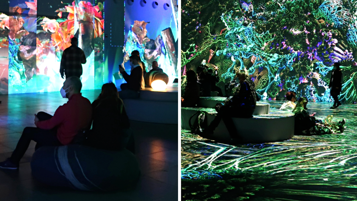 J'ai assisté à la nouvelle expo d'OASIS immersion et voici ce que j'en ai pensé (PHOTOS)