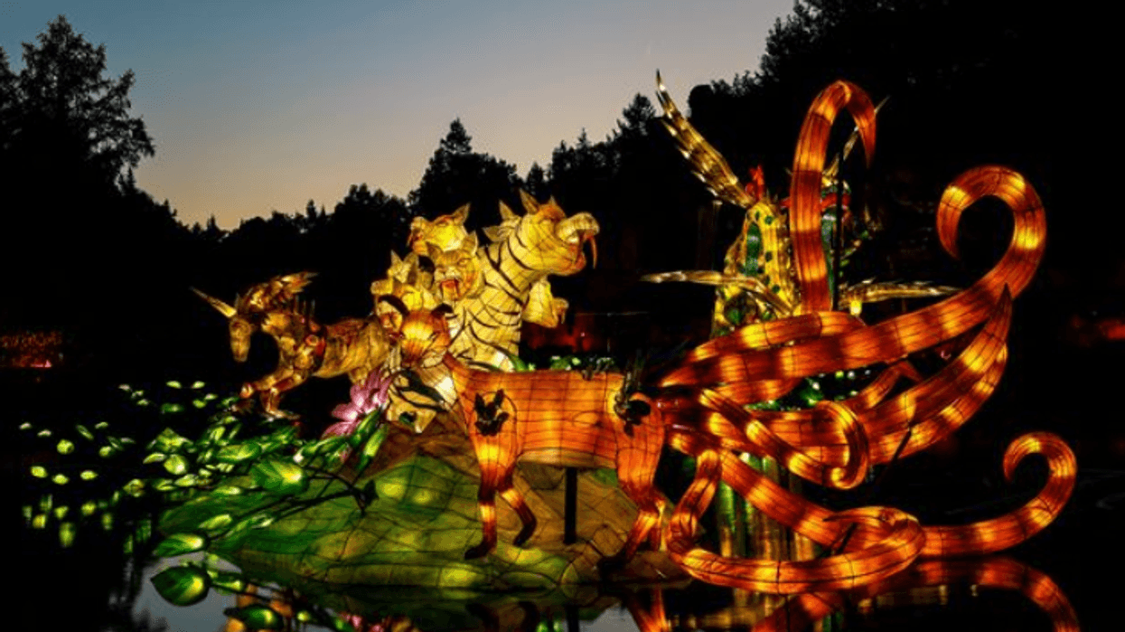 Jardins de lumière de Montréal au Jardin botanique.