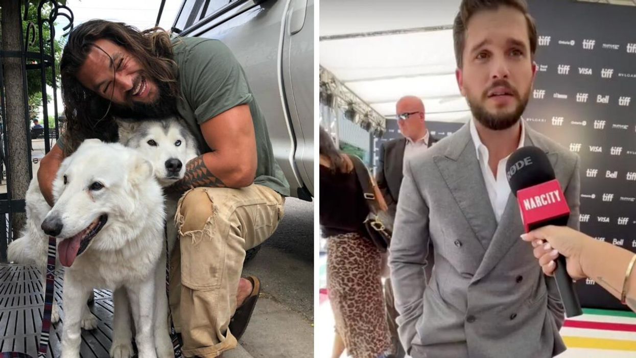 Jason Momoa with two dogs. Right: Kit Harington at TIFF.