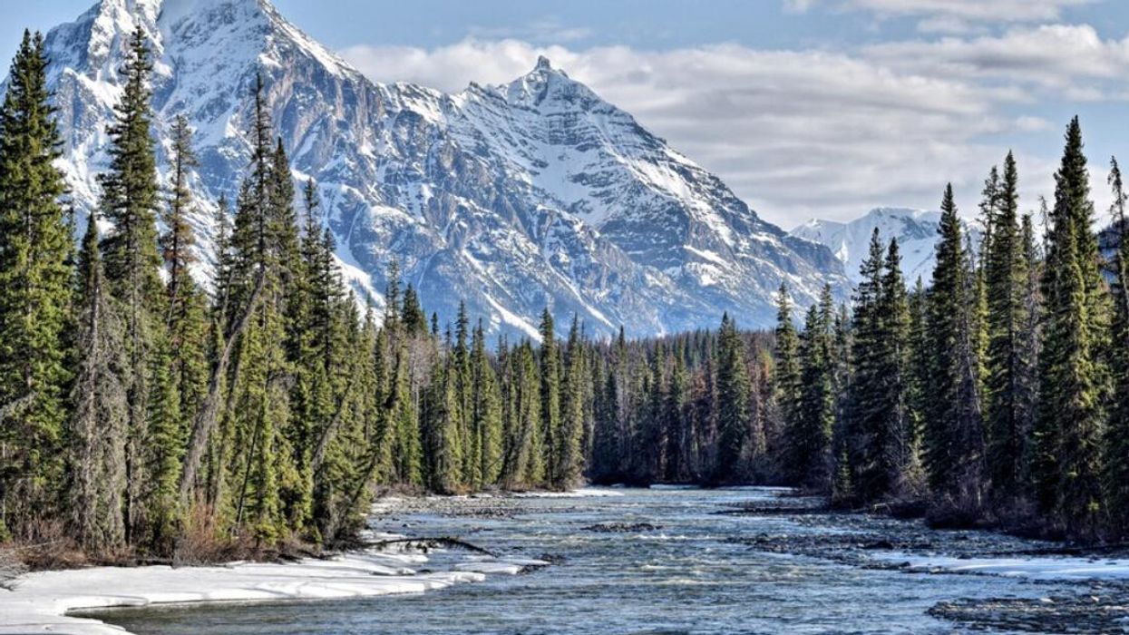 Jasper National Park