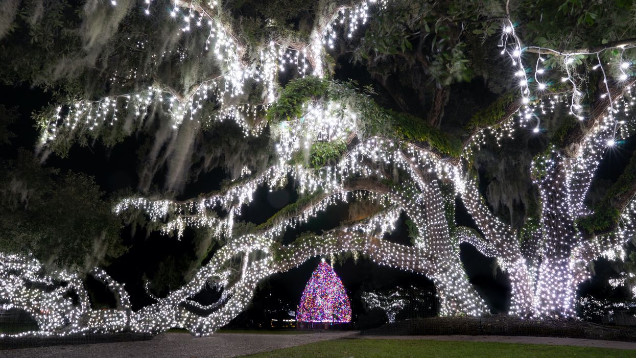 Jekyll Island Holly Jolly Jekyll Georgia Atlanta Light Show