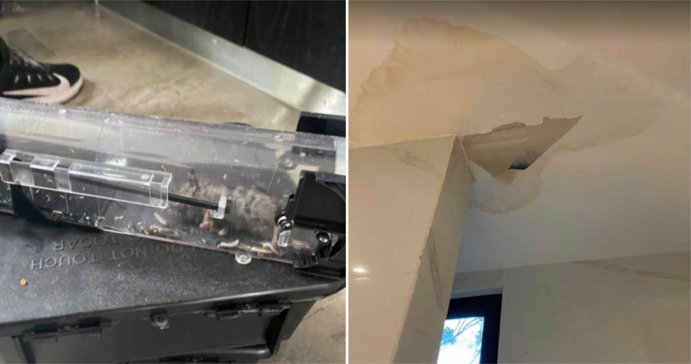 Jessika D\u00e9nomm\u00e9e