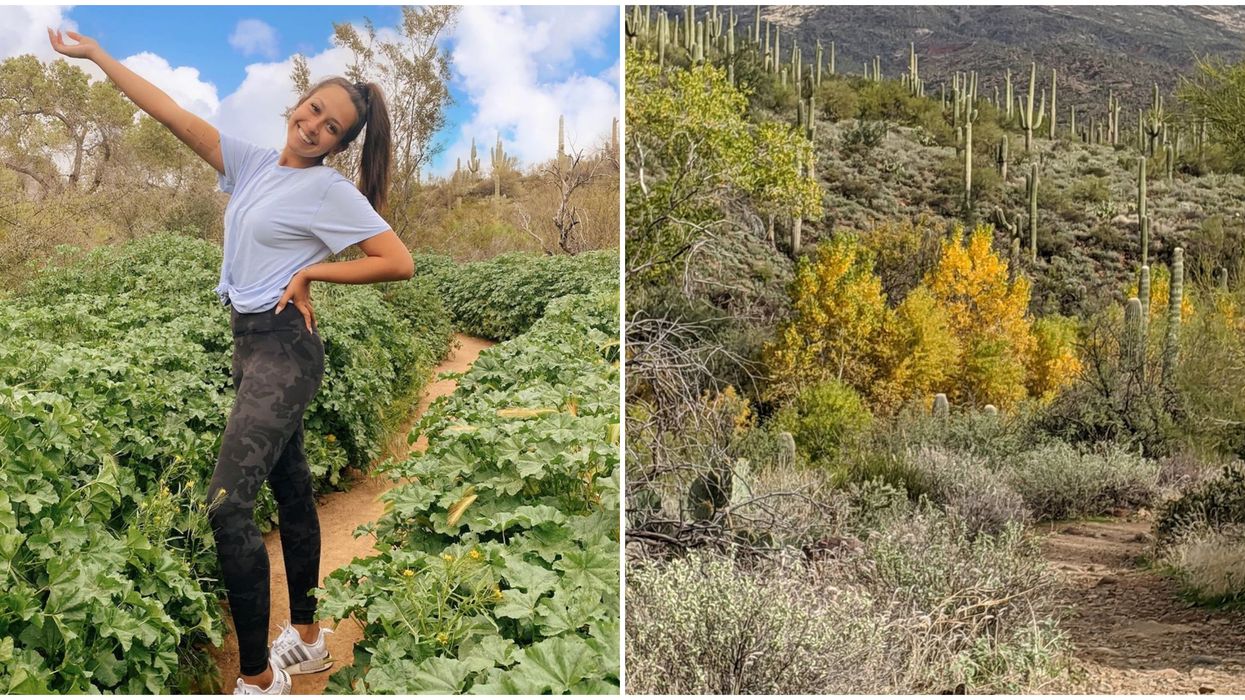 Jewel Of The Creek In Arizona Is Perfect For Easy Nature Walks