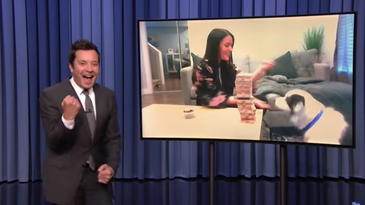 Jimmy Fallon Was Blown Away By This BC Pup’s Secret Skill On ‘The Tonight Show’ (VIDEO)