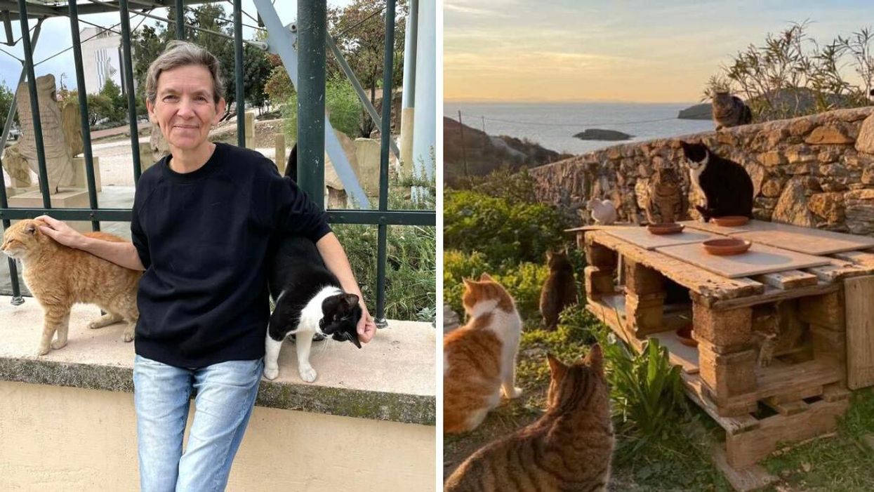 Joan Bowell with two cats. Right: Cats in Syros, Greece.