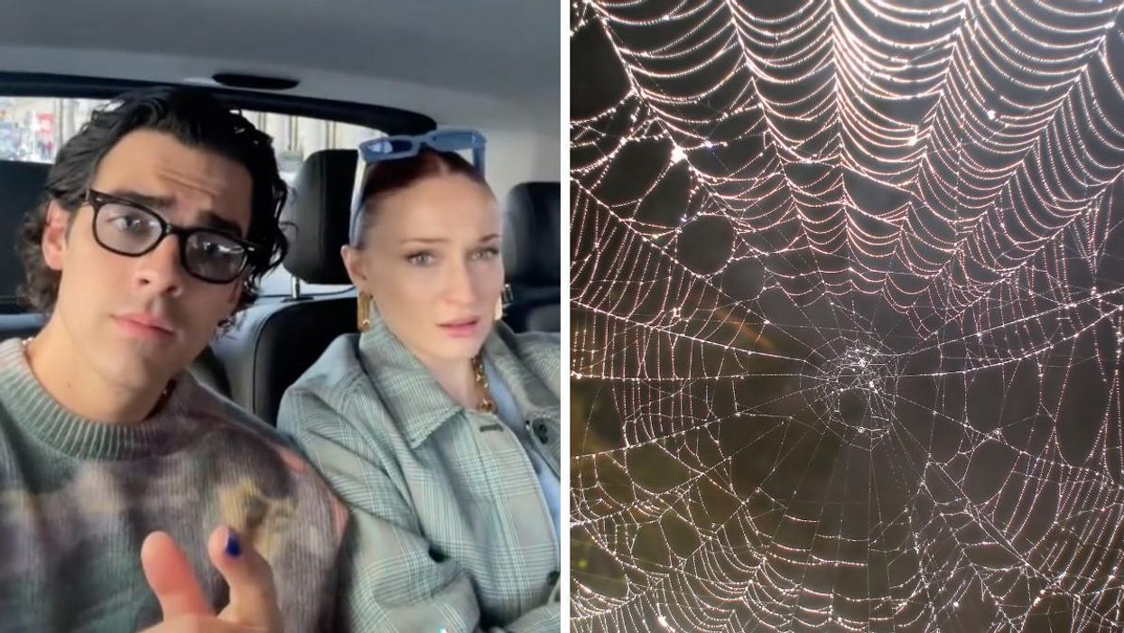 Joe Jonas and Sophia Turner. Right: A spider web.