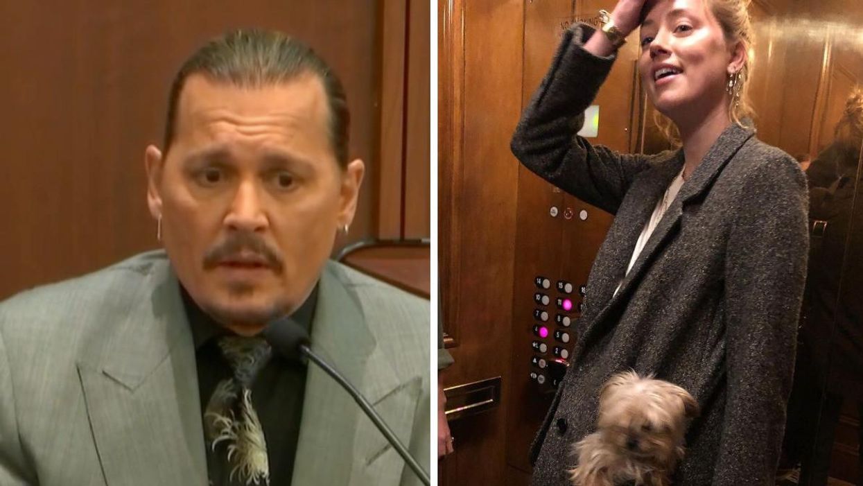Johnny Depp testifying in court. Right: Amber Heard with a dog.