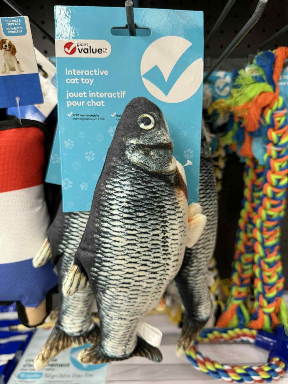 Jouet interactif rechargeable pour chat en forme de poisson en vente chez Tigre G\u00e9ant.